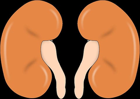 Image for representational purpose only.