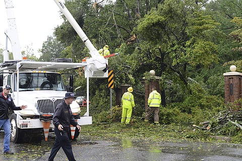 Rains from Hurricane Florence fall as crews remove tree limbs from a power line on Herritage Street . Image used for representational purpose only. (Photo | AP)
