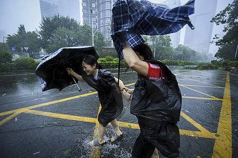 people with umbrellas walk against strong winds from Typhoon Mangkhut at Nanshan District in Shenzhen, south China's Guangdong Province. (AP)