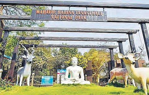 File picture of the entrance of Mahavir Harina Vanasthali National park