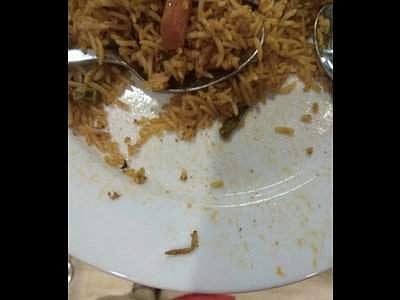 The photo of the caterpillar found in biriyani served at IKEA in Hyderabad (Photo | Twitter)