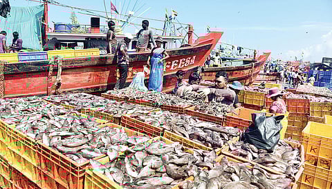 Image used for representational purpose only.