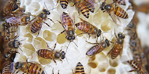 Image for representational purpose only.