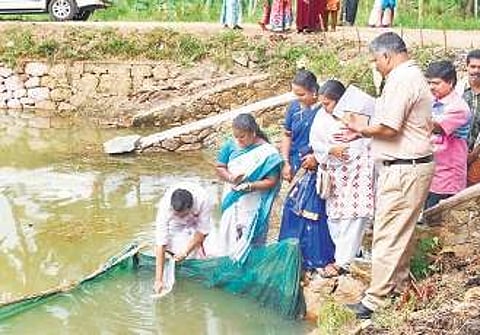 Aqua ‘culture’ across Kattakada