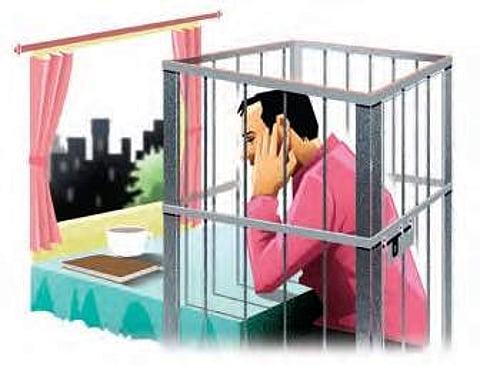 The model was also meant to generate revenue but, after a proposal on it was submitted to the government in January this year, there has been no initiative on it so far. (Photo | Express Illustrations)