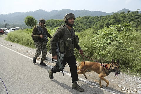 For representational purposes (File | AP)