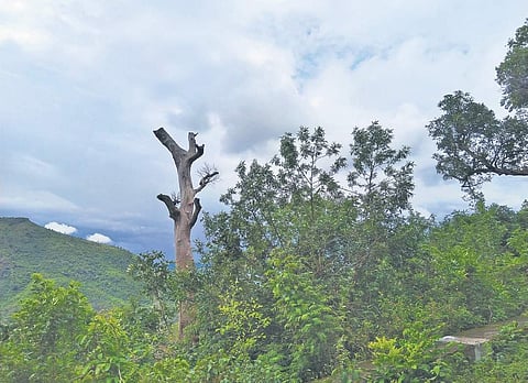 View from the hiking trail; (below) a tribal woman with a kid