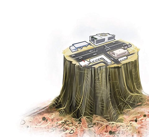 Around 9,300 trees in 42.74 hectares of land are to be chopped down for four-laning a section of the Outer Ring Road.