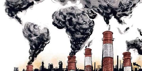 Burning of leaves caused by hydrogen fluoride: OSPCB