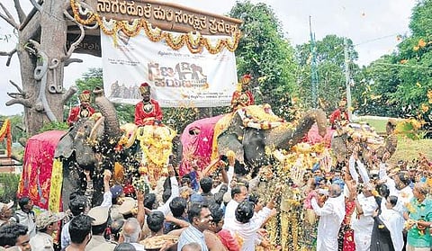 District Minister G T Devegowda and others shower petals on the elephants before their journey to Mysuru from Nagapura Haadi in Hunsur on Sunday | Udayshankar S