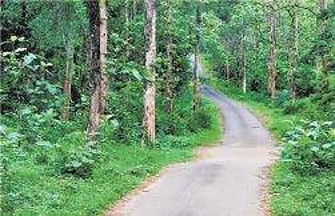 Image for representational purpose only.