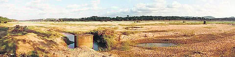Sand dunes which were submerged less than three weeks ago lie fully exposed on the Bharathapuzha river bed at Ganeshagiri near Shoranur | Prajith Pradeep