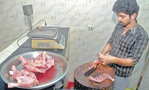 'Democracy means protection of minorities': HC questions ban on slaughterhouses in Haridwar