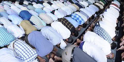 For representational purposes (File | EPS)