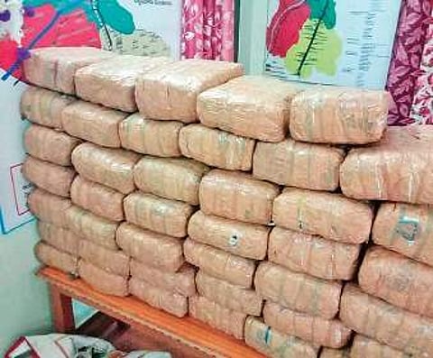 image of ganja seized used for representative purposes only