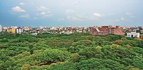 An aerial view of Mangalavanam, the lone green patch in the urban jungle. (Photo | EPS)