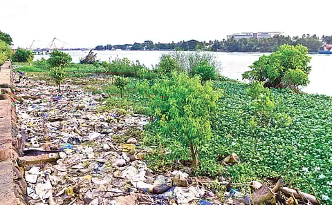Loads of plastic waste littered in the backwaters near Marine Drive | Albin Mathew