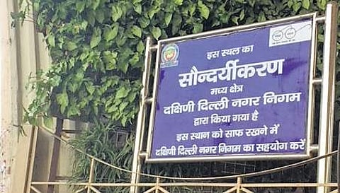 Experts said that vertical gardens failed in the city due to poor choice of plants and an environment degrading phenomenon with the use of plastic pots. (Photo | EPS)