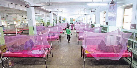 A special ward has been created at Government Rajaji Hospital in Madurai to attend to dengue cases. (Photo | K K Sundar, EPS)