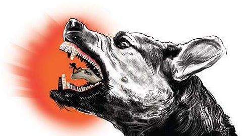 Image used for representation.