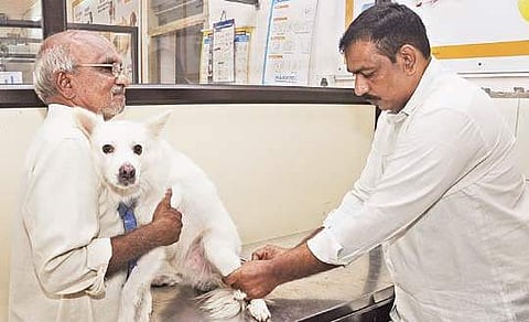 A doctor treating a pet dog at the Vijayawada veterinary hospital | Prasant Madugula
