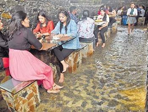 Guests will get a complimentary fish pedicure before starting their meal Nagaraja Gadekal