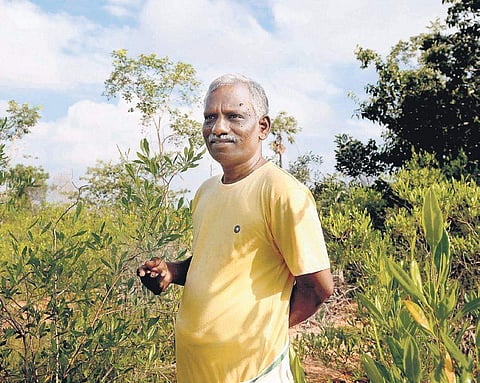D Saravanan