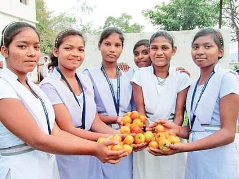 Organic farm lessons for school students