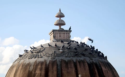 Pigeons spotted on the top of the building at tank bund. (Photo | Sathya keerthi, EPS)