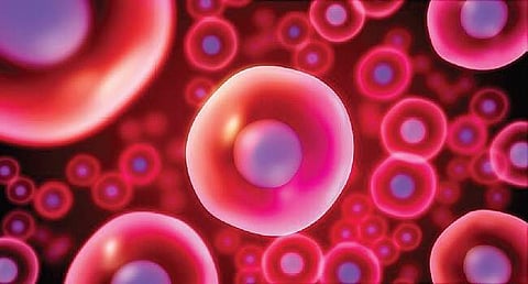 Stem cell registry gets good response