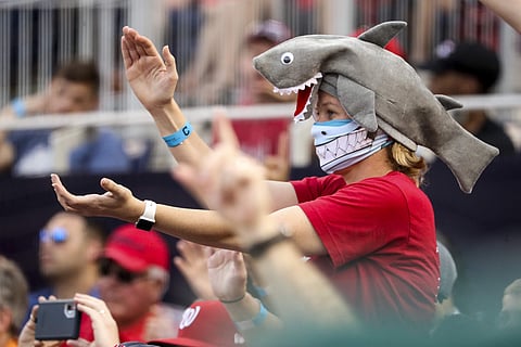 A fan wears a shark hat as Washington Nationals' Gerardo Parra comes up to bat. (Photo | AP)