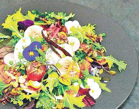 Should you try out the latest diets? Read here