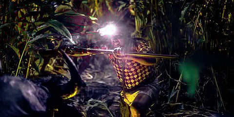 A still from 'Jallikattu'.