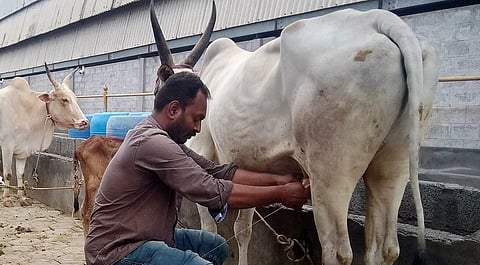 For representational purposes (Photo| EPS)