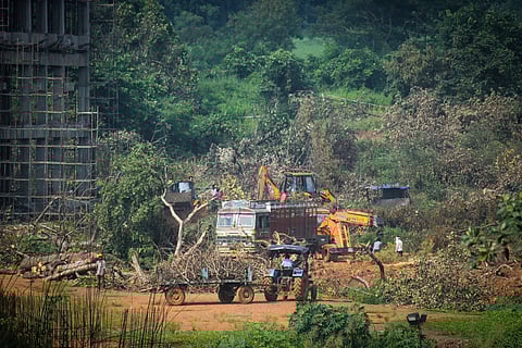 A tractor carries away the fallen trees for building a construction site of metro car parking shed at Aarey Colony Mumbai Monday Oct. 7 2019. | (Photo | PTI)