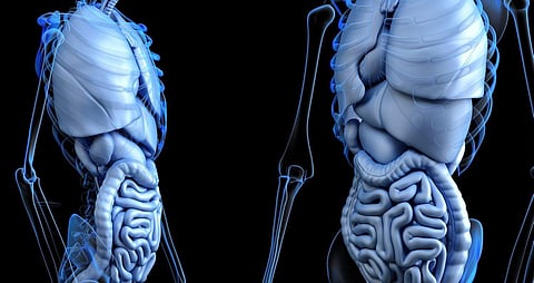 For representational purposes