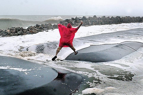 Geotube installed to prevent sea erosion following Ockhi could not prevent sea water from entering the houses located close to shore in Chellanam | A sanesh