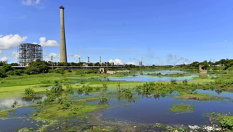 Vannar Kulam (Dhobi's Pond) in Ennore has now deteriorated due to the growth of weed, encroachments and heavy silt formation. | D Sampath Kumar/EPS