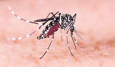 For representational purposes