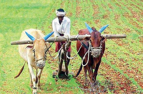 Image used for representational purpose only. (File photo | EPS))