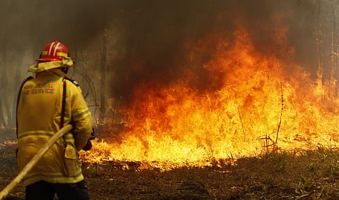 Firefighters work to contain a bushfire along Old Bar road in Old Bar, Saturday, Nov. 9, 2019. (Photo | AFP)