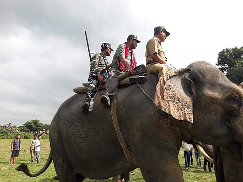 Sootea MLA, Padma Hazarika (in centre) with forest officials (Photo | Express)