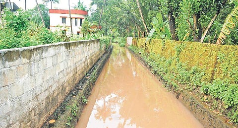 A view of the Pottachal canal.