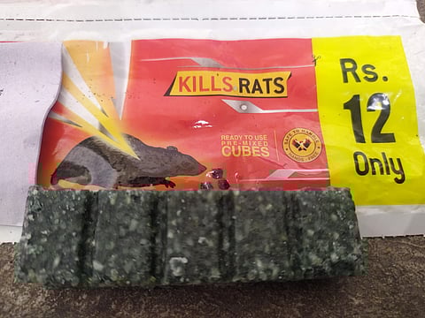 After mistaking the rat poison cake for a chocolate and consuming it, The boy succumbed despite responding to the treatment on Monday.