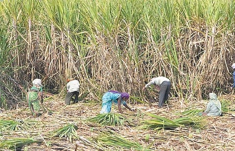 Representational Image