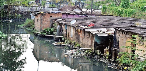 Sewage pipes from houses situated on the banks of Perandoor canal drain out into the water body, resulting in massive pollution | A Sanesh