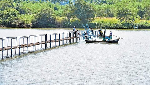 Villagers constructing bridge I Rajesh Shetty Ballalbagh