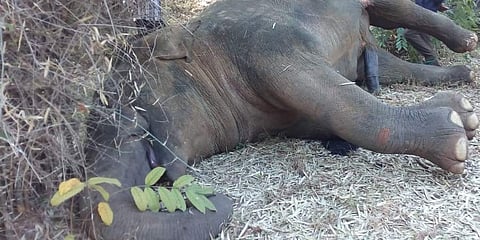 For representational purposes (File Photo | EPS)