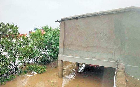 Illegal construction on forest land at Talachua within Bhitarkanika National Park