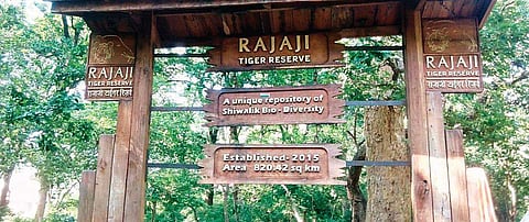 In 2015, Uttarakhand High Court had ordered removal of 80 families residing within the boundaries of the Rajaji Tiger Reserve